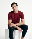 GRPHX Regular Fit Cotton T-Shirt front view – everyday essential