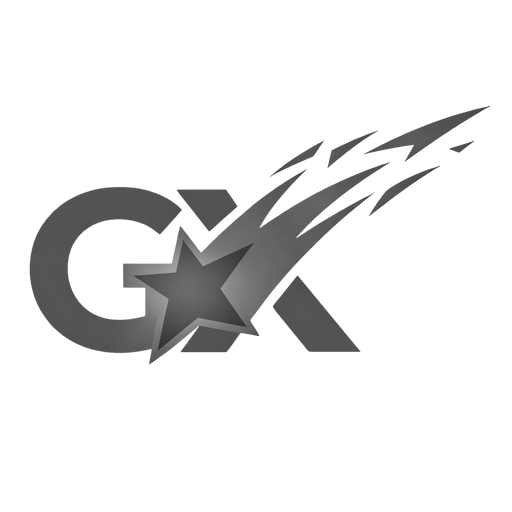 GRPHX | Premium Streetwear & Heavyweight Oversized Tees – India